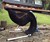 Suzak Indoor/Outdoor Lounger