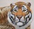 Tiger Sofa by Rodolfo Rocchetti - Closeup