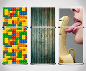 Fridge Skins