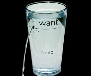 Want vs. Need Glass