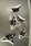 Ninja Throwing Star Magnets