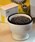 Toilet Bowl Coffee Mug