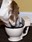 Toilet Bowl Coffee Mug