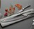 Deglon Meeting Knife Set