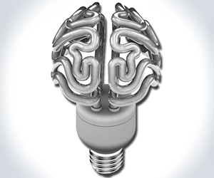 The Brain Bulb
