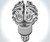 Insight - The Brain Bulb