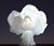 Nuke Lamp