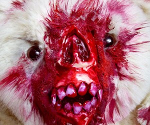 Undead Teds - Your Bear, Zombified