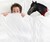 Decapitated Horse Head Pillow Case