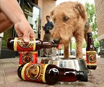 Dog Balancing Treats