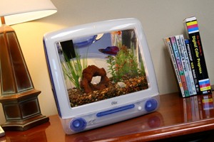 Macquarium