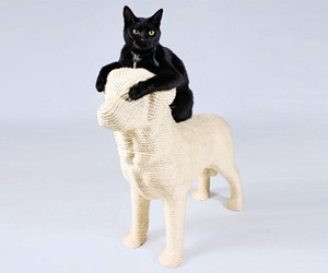 Dog Cat Scratching Post