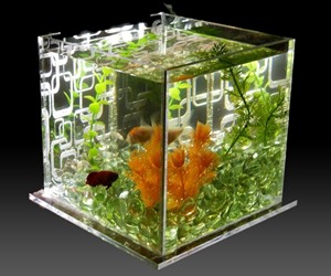 LumaTank - Edge Lit Fish Tank