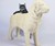Dog Cat Scratching Post