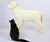 Dog Cat Scratching Post