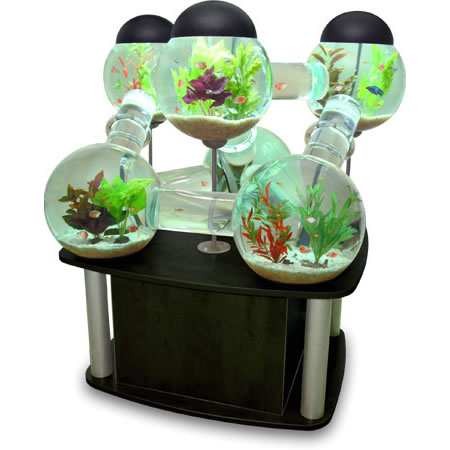Labyrinth Aquarium