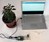 Houseplants that Twitter