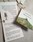 Beetlejuice Terrarium Care Instructions