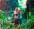 Forest of Endor Ewok Terrarium