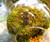 Yoda Terrarium