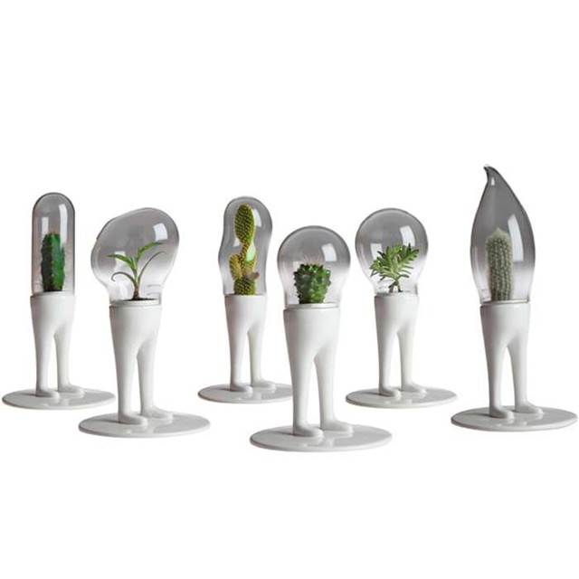 Domsai Terrariums