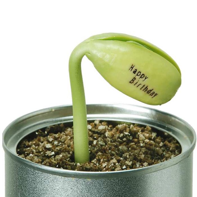Message Bean-9631