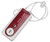 Portable Intruder Alarm Closeup