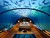 The Underwater Suite