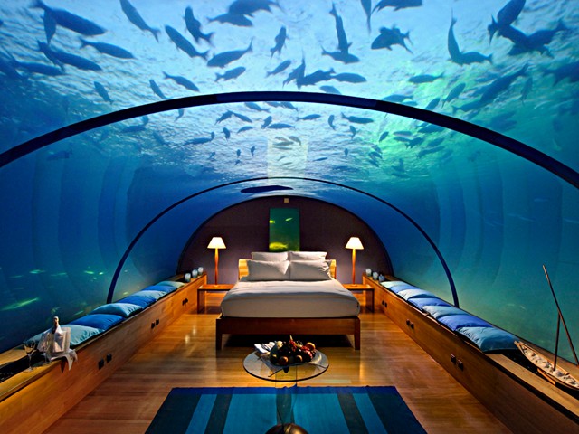 The Underwater Suite