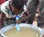 LifeStraw Personal Water Filter