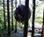 The Tree Tent