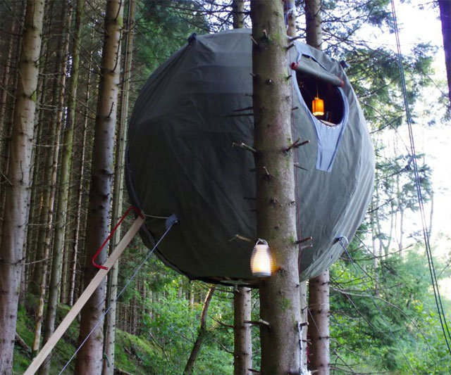 The Tree Tent