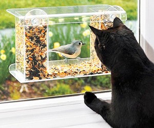 One-Way-Mirror Birdfeeder