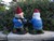 Combat Garden Gnome