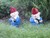 Combat Garden Gnome