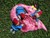 Zombie Gnomes: Bye Bye Birdie-1741