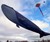 Life-Size Blue Whale Kite - Closeup View