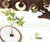Treeincarnation: From Ashes to Spiritree