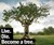 Treeincarnation: From Ashes to Spiritree