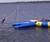 Floating Trampoline with Rope Swing