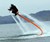 Jetovator Water-Propelled Stunt Bike 