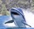 Seabreacher Shark X, Head-On View