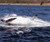 Seabreacher Shark X Submarine, Side View