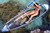 See Through Bottom Canoe