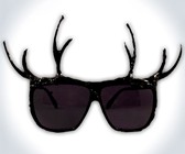 Antler Sunglasses