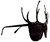 Antler Sunglasses - Profile View
