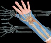 Bone Cast Tattoos