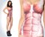 Anatomical Swimsuit