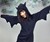 Bat Hoodie