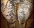 Middle Earth Map Leggings